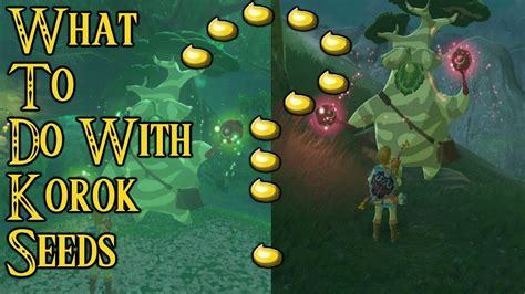 breath of the wild korok leaf|where to turn in korok seeds.